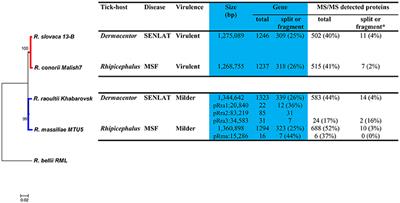 Multi-omics Analysis Sheds Light on the Evolution and the  - Frontiers